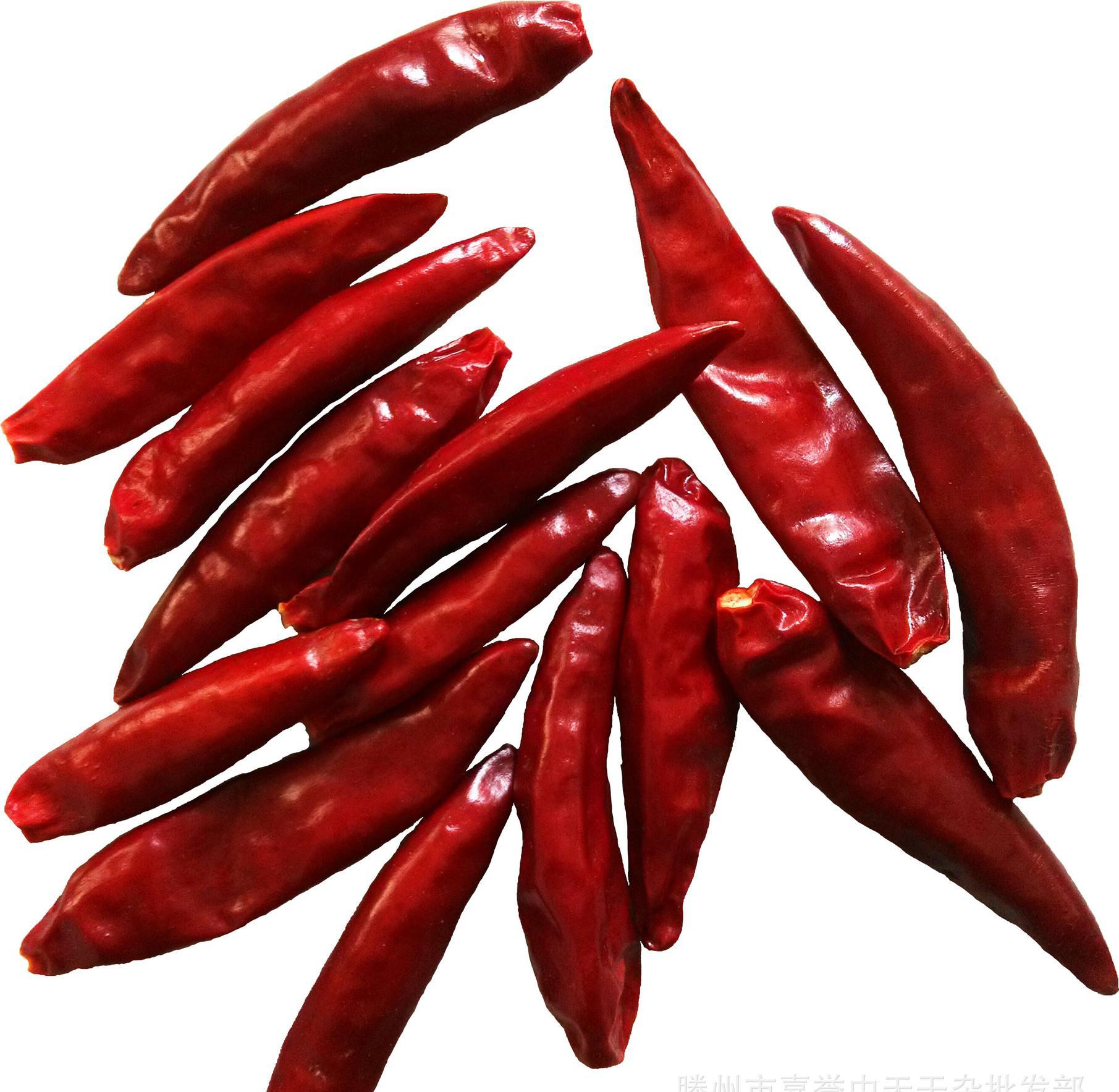 干辣椒的种类图片