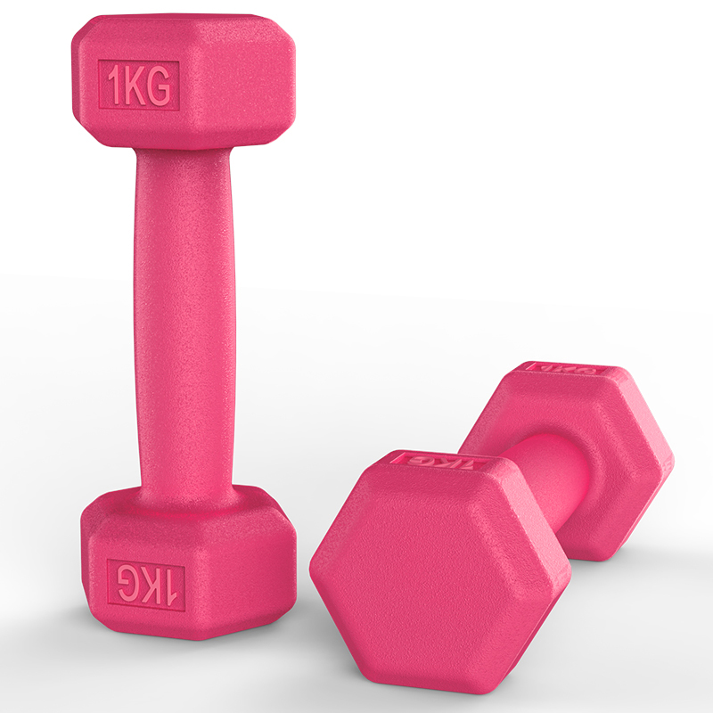 哑铃属于什么垃圾_哑铃在南京市是什么垃圾_南京垃圾分类查询